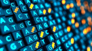 When Biology Meets Technology: Harnessing the Power of Bioinformatics